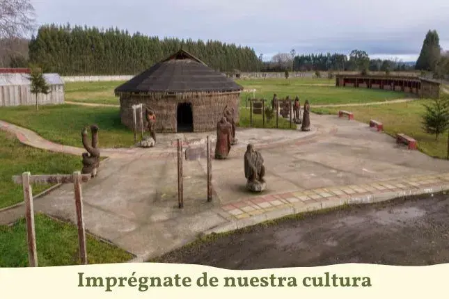 Fotografía de un parque cultura de Fresia, donde se encuentra una ruca mapuche y que esta rodeada de elementos y estatuas asociadas a la cultura mapuche.
Imagen acompañada de la frase "Imprégnate de nuestra cultura"