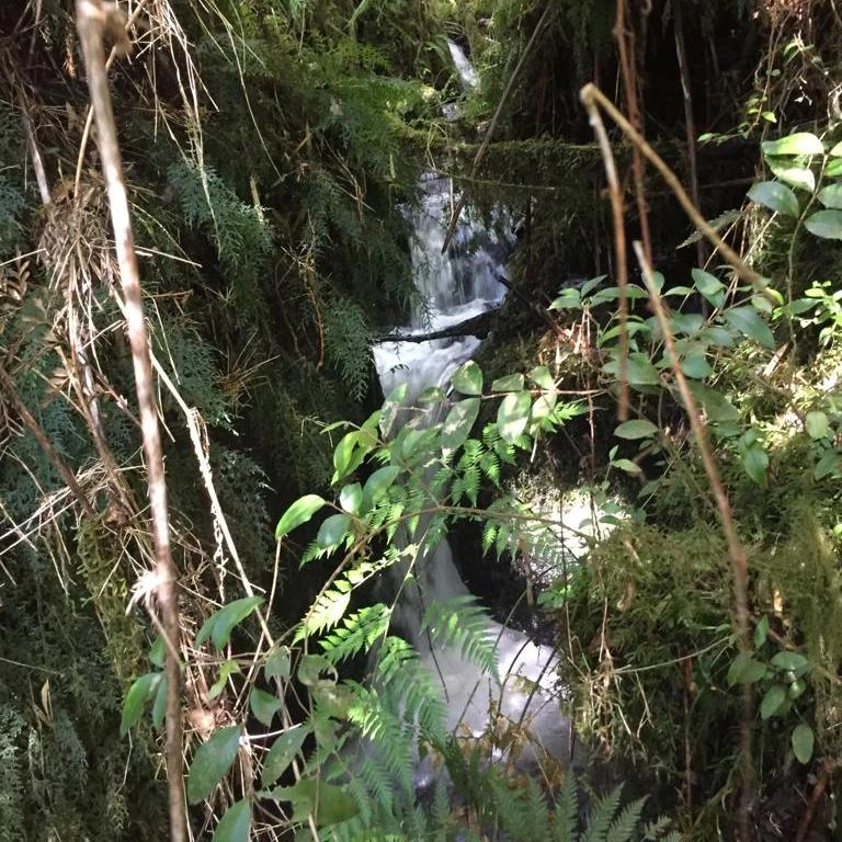 Fotografía de una cascada de la zona.