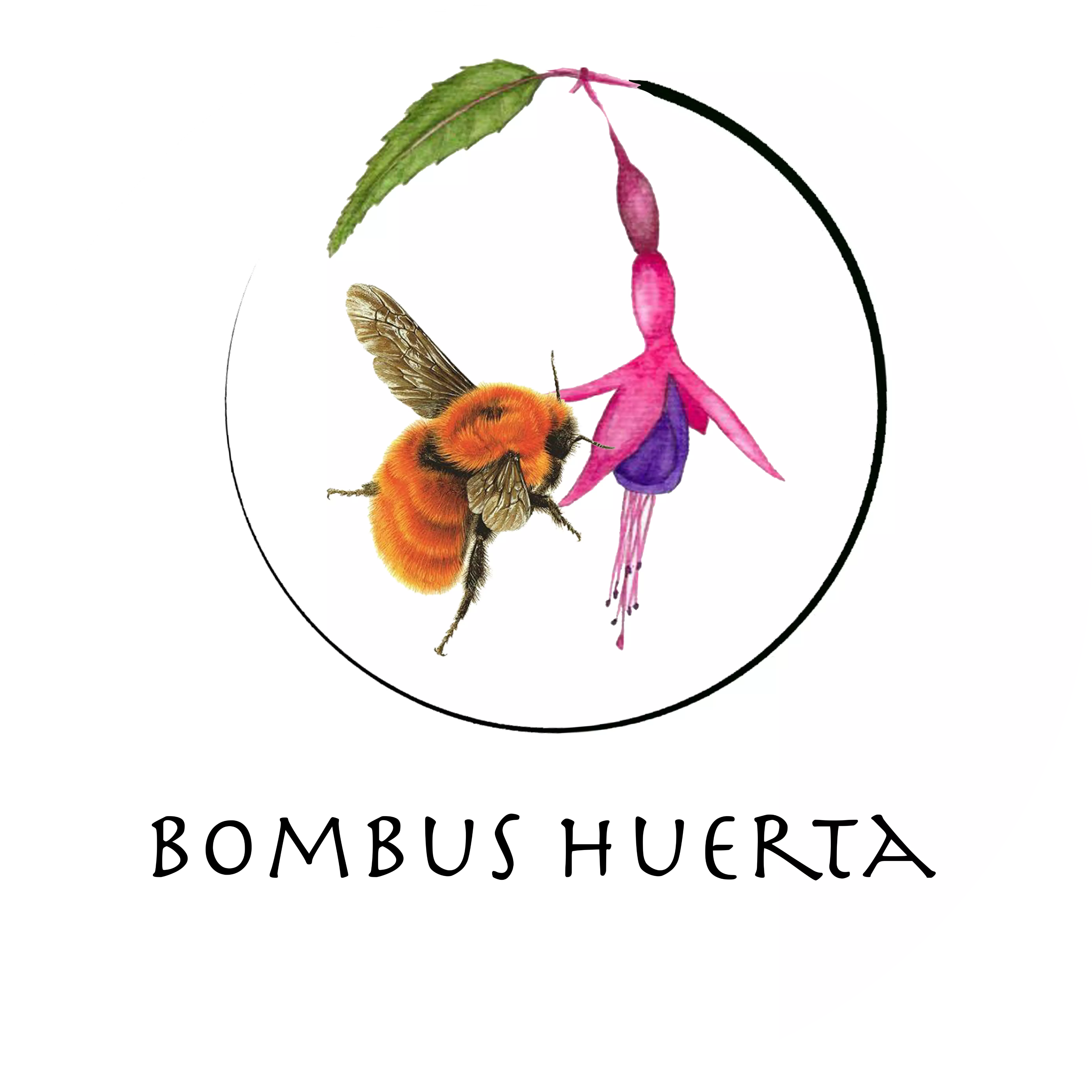 Bombus Huerta